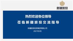 新疆旅投召开文化产业发展工作专题汇报会