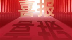 产业协同聚合力 携手共进促发展