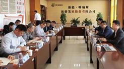 战略引领把方向 高效执行结硕果